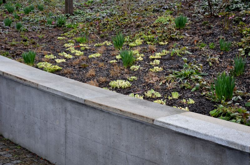 Products For Retaining Wall Repairs in use